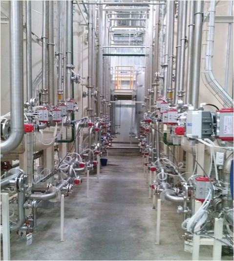 TRATAMIENTO JARABE DE AZÚCAR